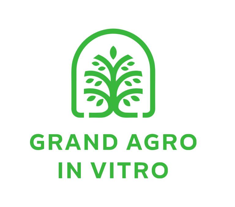 Sevda H. Sərkərova